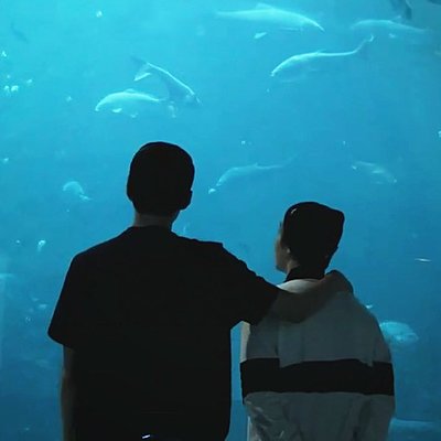 Timeline: Sehun/Suho Select Moments