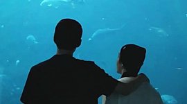 Timeline: Sehun/Suho Select Moments