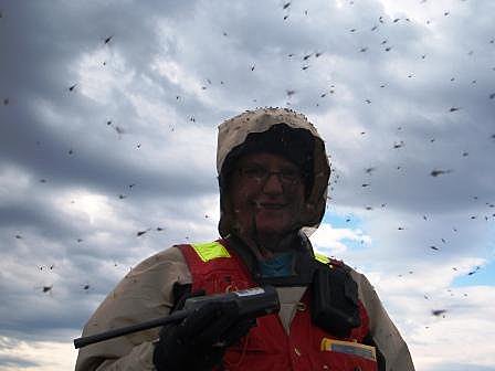 Consulting Archaeologist