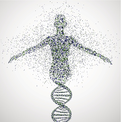 The Human Genome Project
