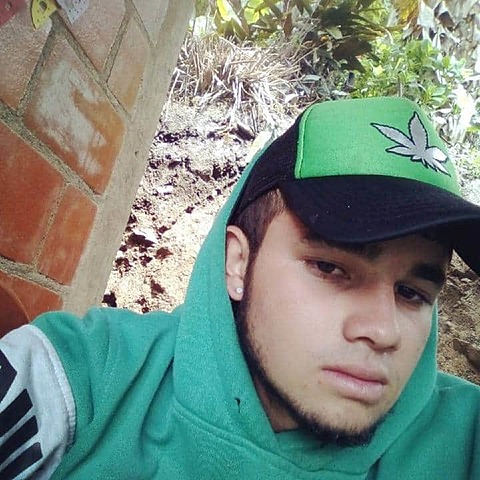 Año de nacimiento SOBRINO