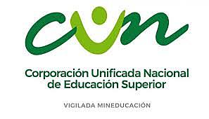 año actual  de estudio en la universidad