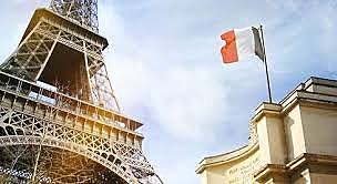 Sector Gubernamental