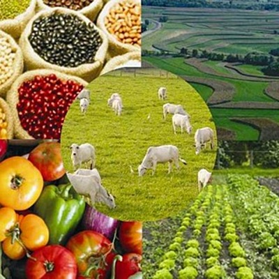 Timeline: EXTENSIÓN AGRÍCOLA - Erika Vanegas