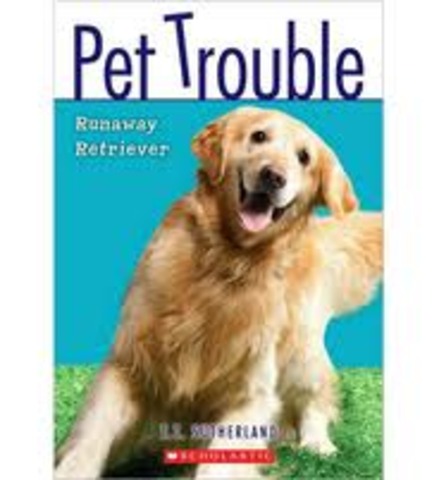 Runaway Retriever