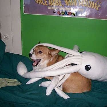 June 2009: Swimming Into Amazon, pt 2