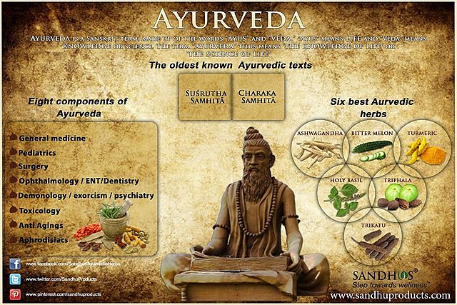 Ramas de la Ayurveda