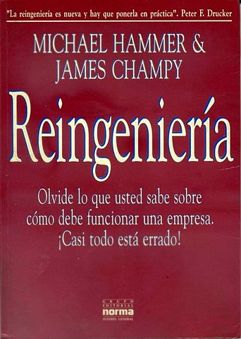 REORIENTACION   AL PROCESO (Michael  Hammer, James  champy)