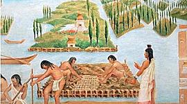 Timeline: HISTORIA DE LA FITOPATOLOGIA