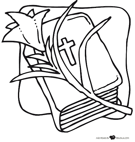 De educación liberal a educación católica