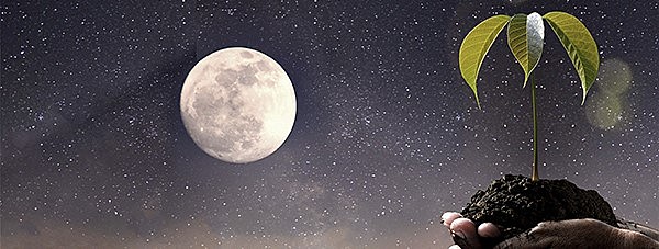 LA TEORÍA CÓSMICA O SIDERAL