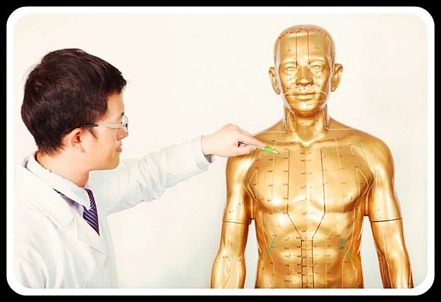 100 A C ACUPUNTURA CHINA, MEDICINA ALTERNATIVA