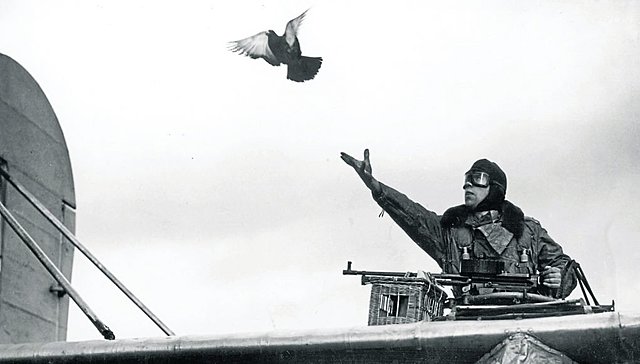 se comienza a utilizar palomas para transmitir mensajes.