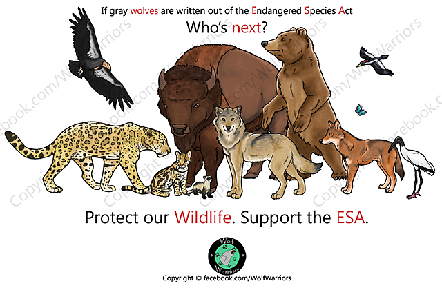 Endangered Species Act