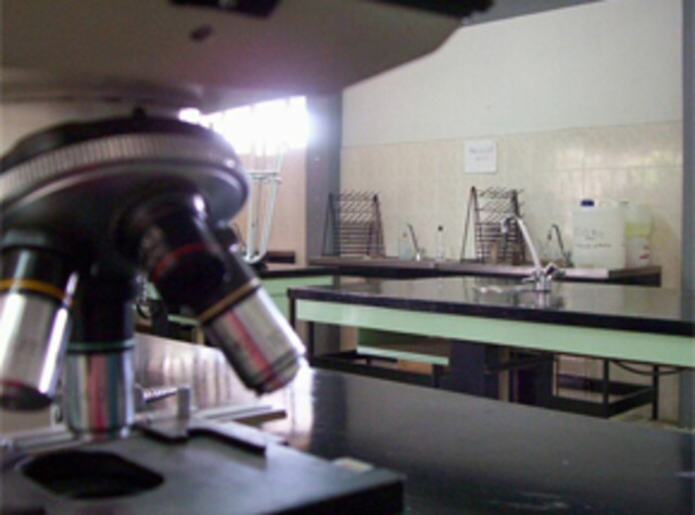 Primeros Laboratorios de Estandares