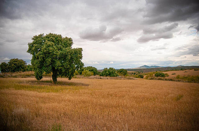 Convenio europeo del Paisaje
