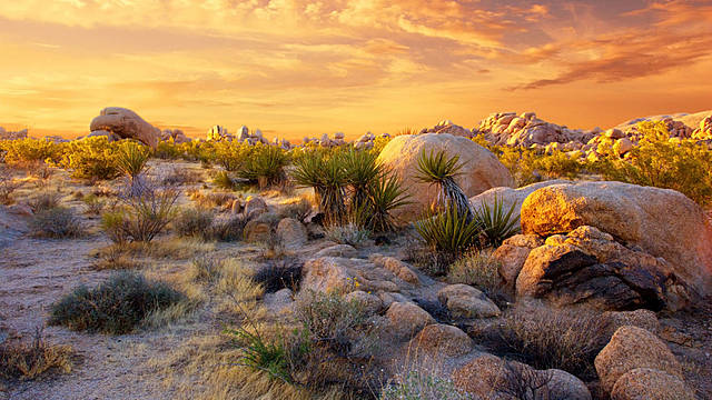 Desert Protection Act