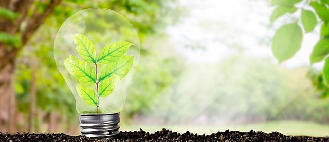 Comienzo del Termino Desarrollo Sustentable