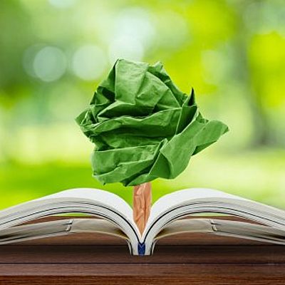 Timeline: Educación ambiental