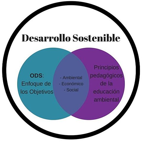 Principios pedagógicos de la educación ambiental