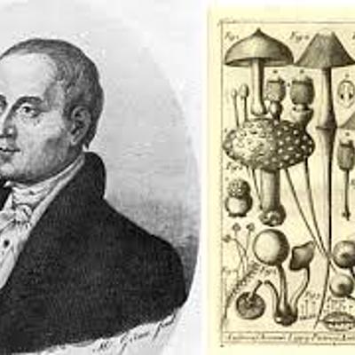 Timeline: Historia de la Fitopatología