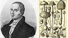 Timeline: Historia de la Fitopatología