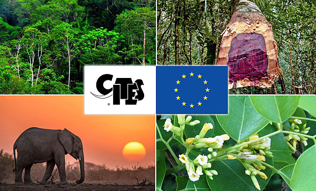 CITES