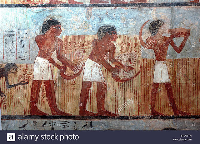 Primeros Indicios (A.C)