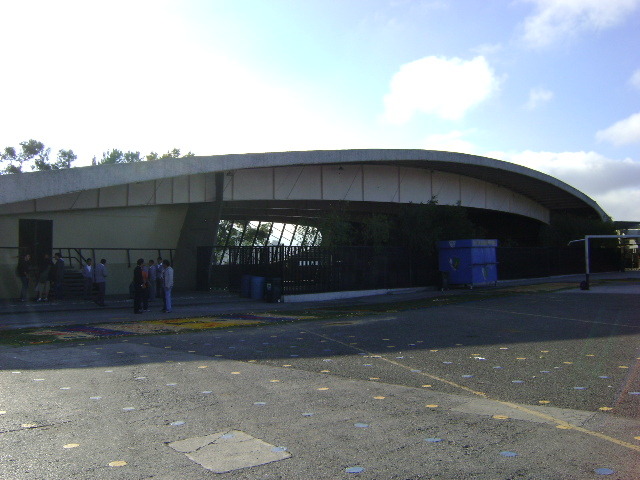 Primer año de primaria