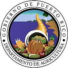 PRESUPUESTO BASE CERO