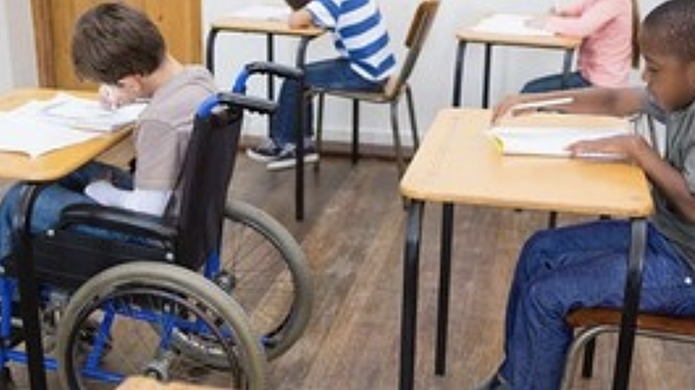 Rehabilitation Act (Section 504)