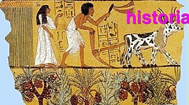 Timeline: HISTORIA DE LA FITOPATOLOGIA