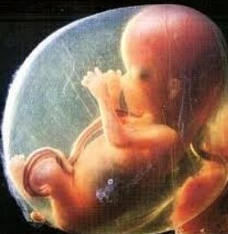 Tercer mes de embarazo