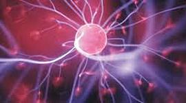 Timeline: Week 5 - Timeline 2 - Thomas Kuhn