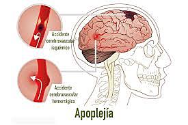 muerte  de  spallazani