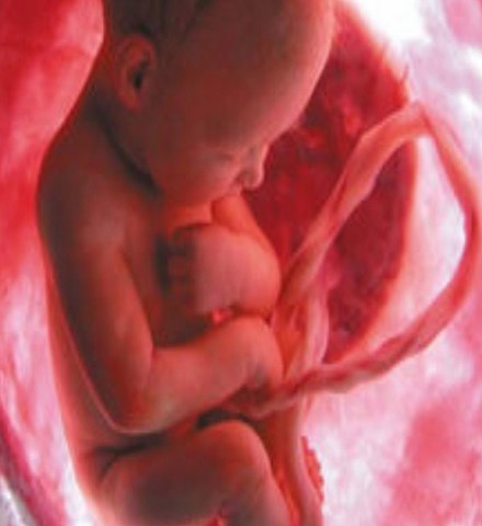 Séptimo mes de embarazo