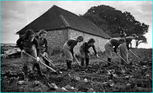 PRESUPUESTOS BASE CERO