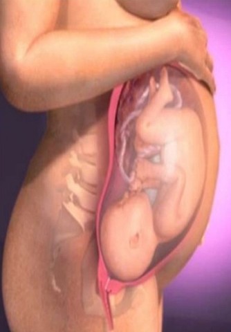 Noveno mes de embarazo