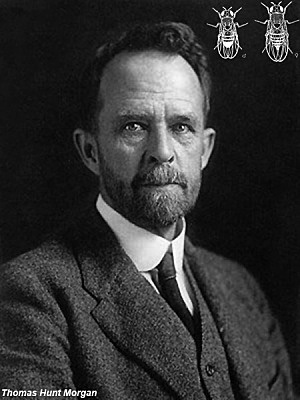 Thomas Morgan (1866-1945)