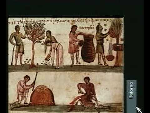 Esclavismo Improductivo