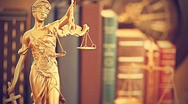 Timeline: Historia de los Derechos Humanos-Amparo I