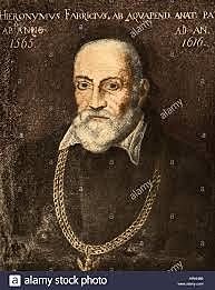 Fabricio de Aquapendente