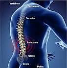 manipulación quiropráctica y osteopática