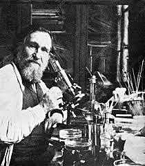 Elie Metchnikof (Los solícitos fagocitos)