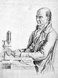 Esporas de hongo por microscopio