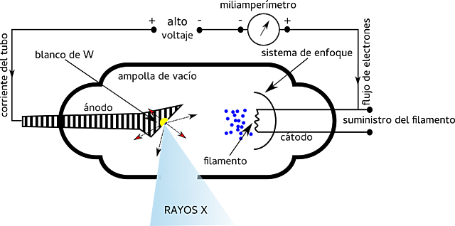 1935 Evento 5 Tubo de Rayos X