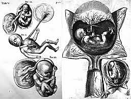 HIERONYMUS FABRICIUS DE ACQUAPENDENTE (1533-1619)