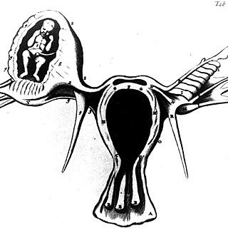 REGNIER DE GRAAF (1641-1673)