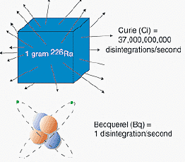 1991 Evento 3 Magnitudes, Unidades de Radiacion Utilizadas