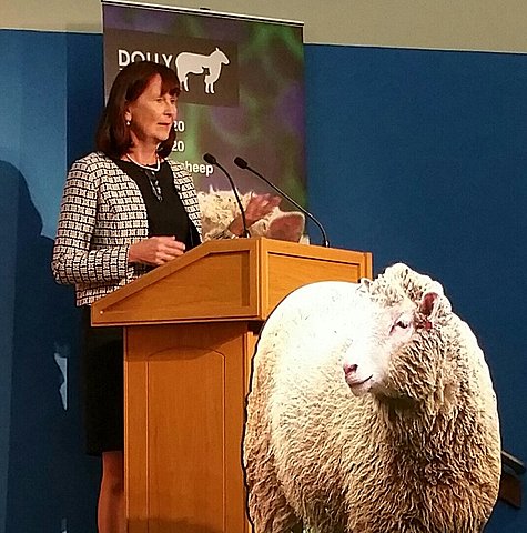 ANGELIKA SCHNIEKE (1956)